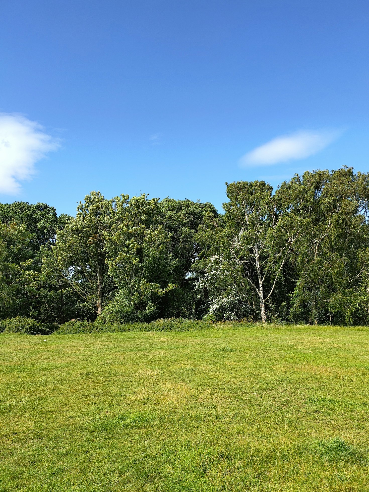 Dlaczego warto odwiedzić nasz park naukowy?